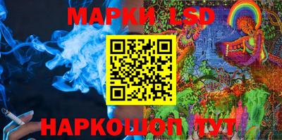 шишки Ставрополь