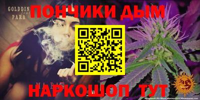 шишки Ставрополь