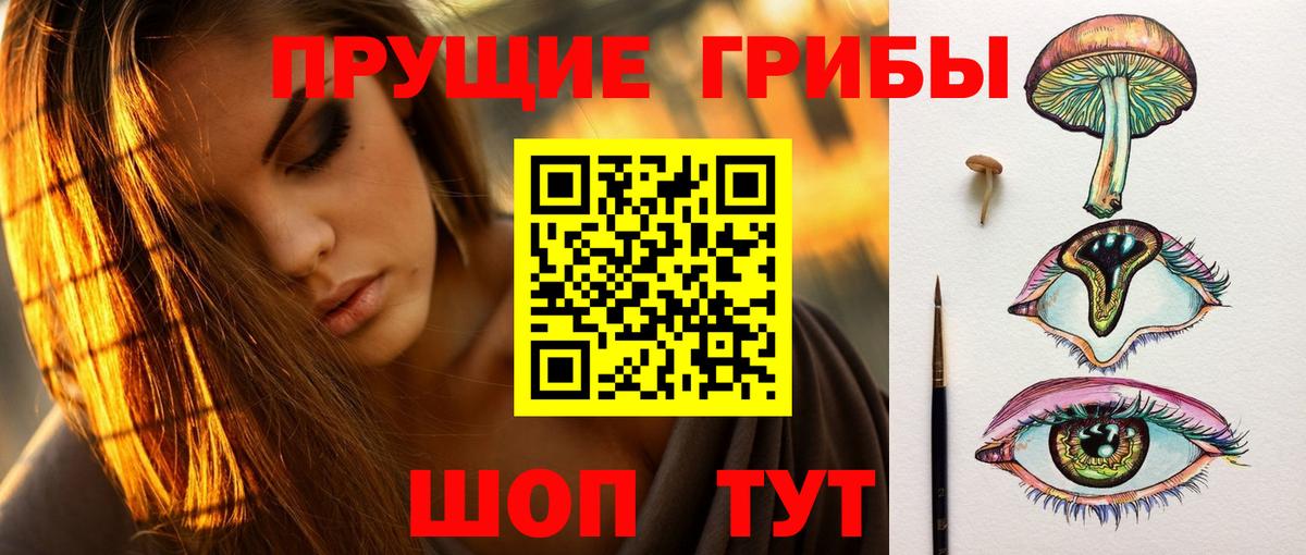Псилоцибиновые грибы мицелий  Псилоцибиновые грибы Magic Shrooms  Вход с VPN  Гусь-Хрустальный 