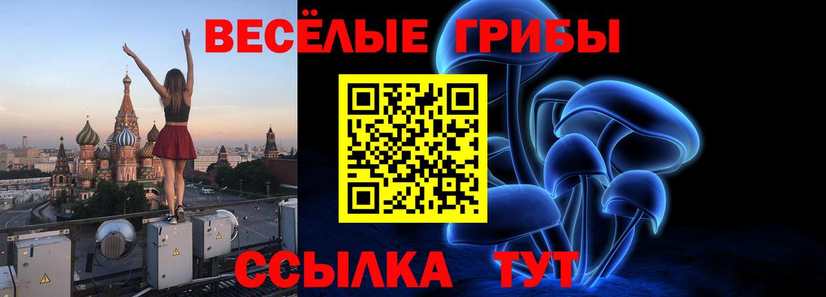 Галлюциногенные грибы прущие грибы Гусь-Хрустальный